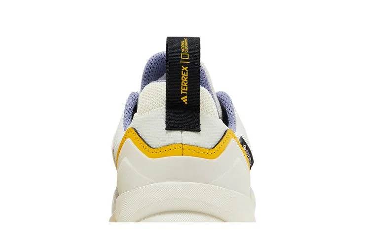 Кроссовки National Geographic x adidas Wmns Terrex Swift R3 GORE-TEX 'White Silver Violet'