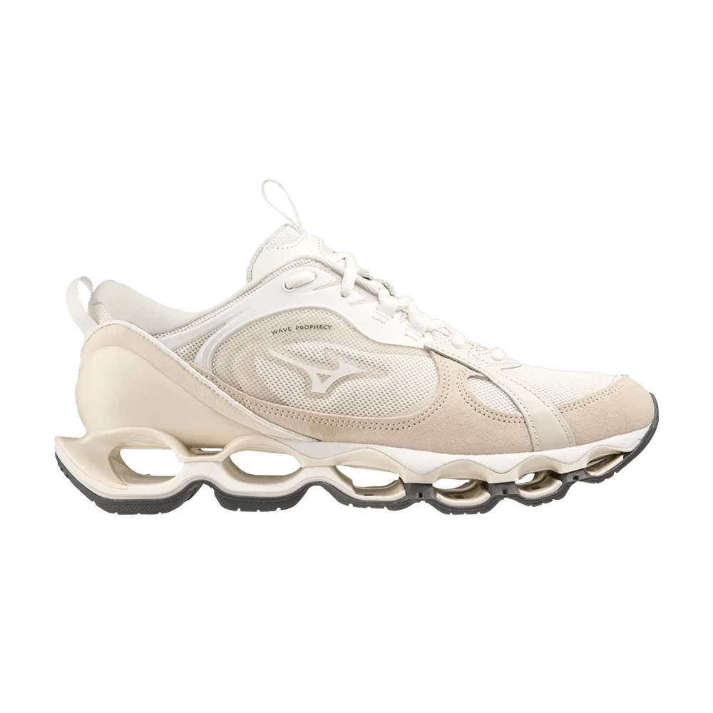 Кроссовки Mizuno Wave Prophecy Beta 2 'Snow White'