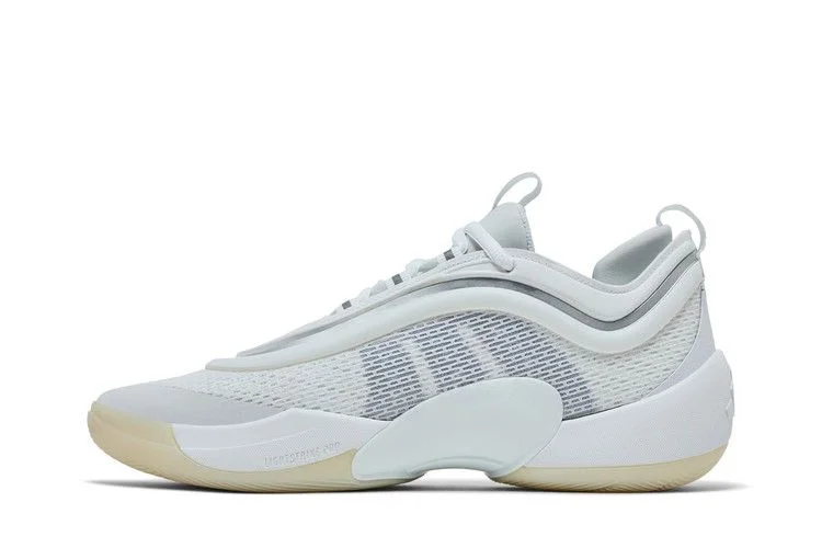 Кроссовки adidas D.O.N. Issue #6 'White Silver Metallic'
