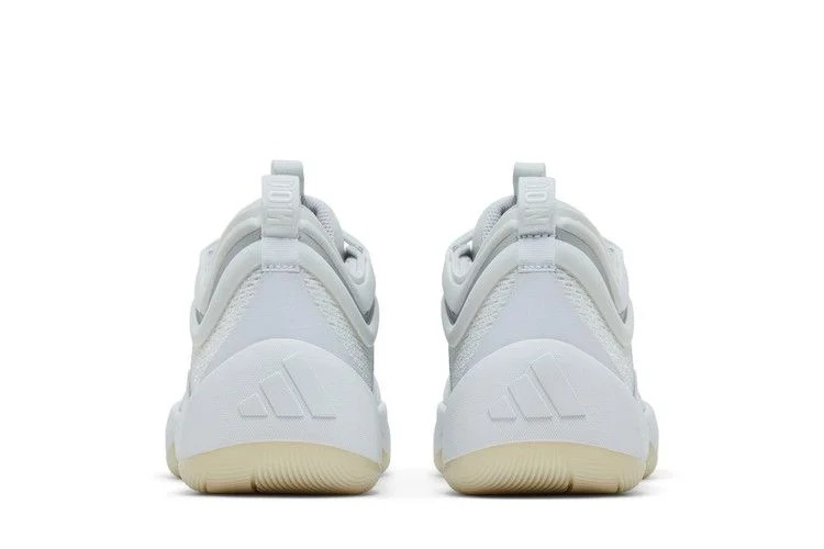 Кроссовки adidas D.O.N. Issue #6 'White Silver Metallic'