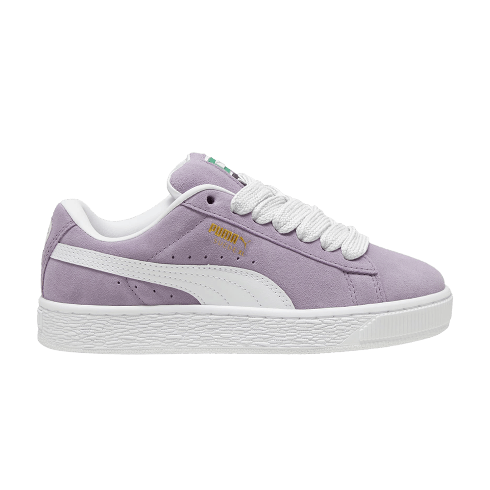 suede-xl-big-kid-pale-plum-396577-11