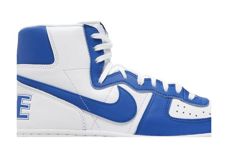 Кроссовки Nike Terminator High 'Game Royal'