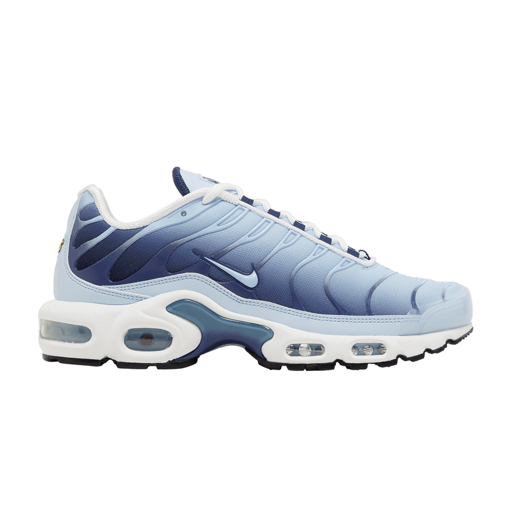 wmns-air-max-plus-celestine-blue-fj4736-400