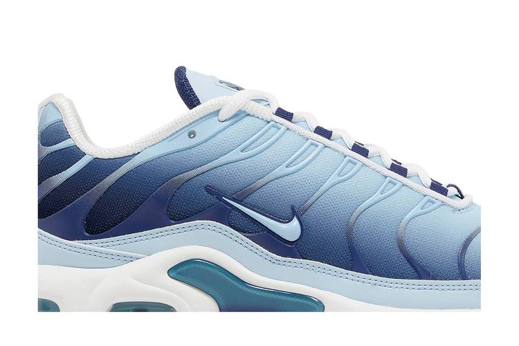 Кроссовки Nike Wmns Air Max Plus 'Celestine Blue'