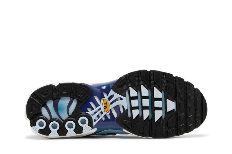 Кроссовки Nike Wmns Air Max Plus 'Celestine Blue'