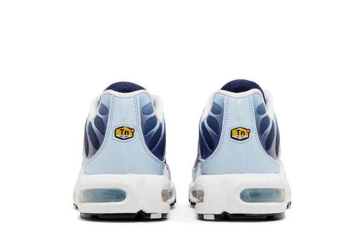 Кроссовки Nike Wmns Air Max Plus 'Celestine Blue'