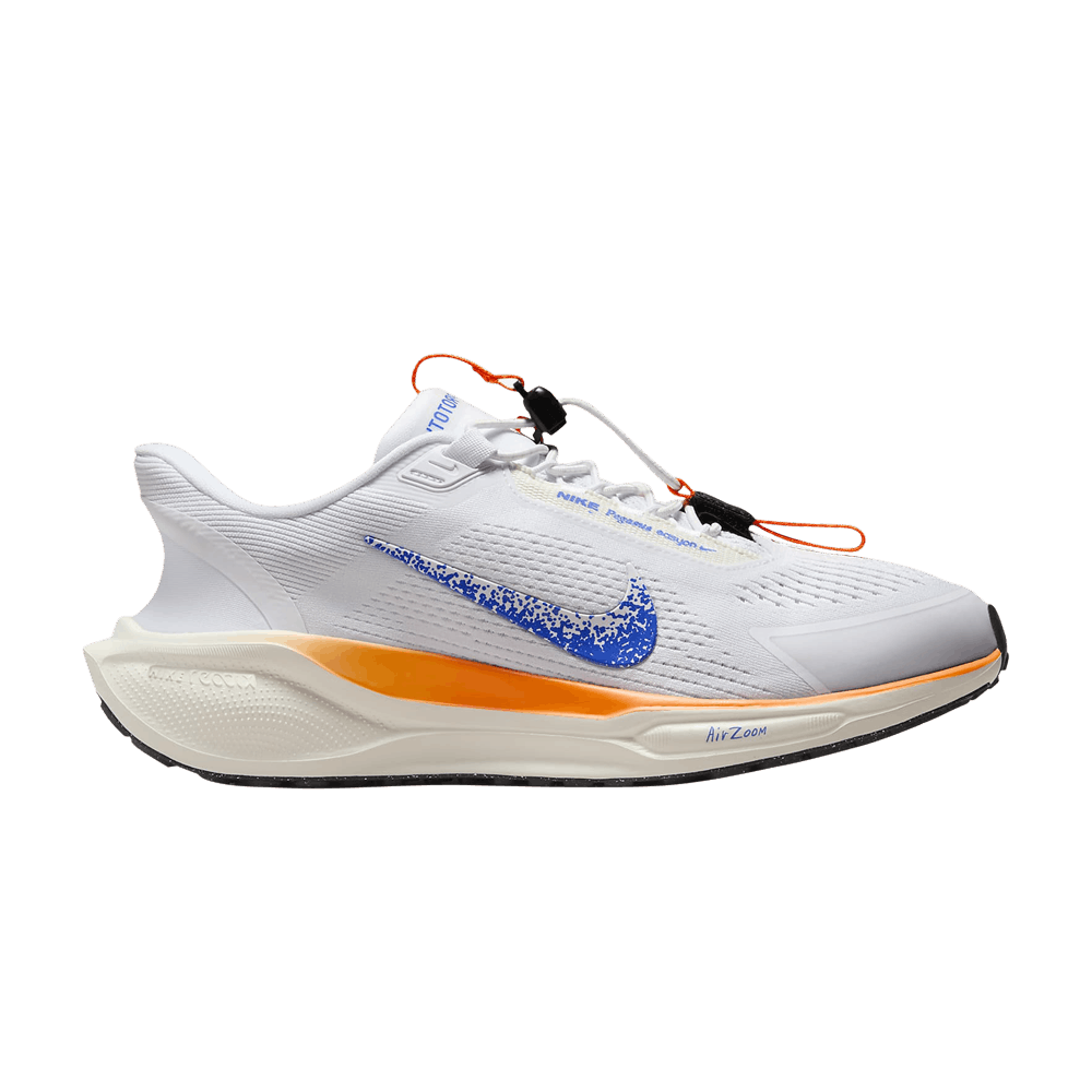 wmns-air-zoom-pegasus-41-easyon-fp-blueprint-pack-hm0375-900