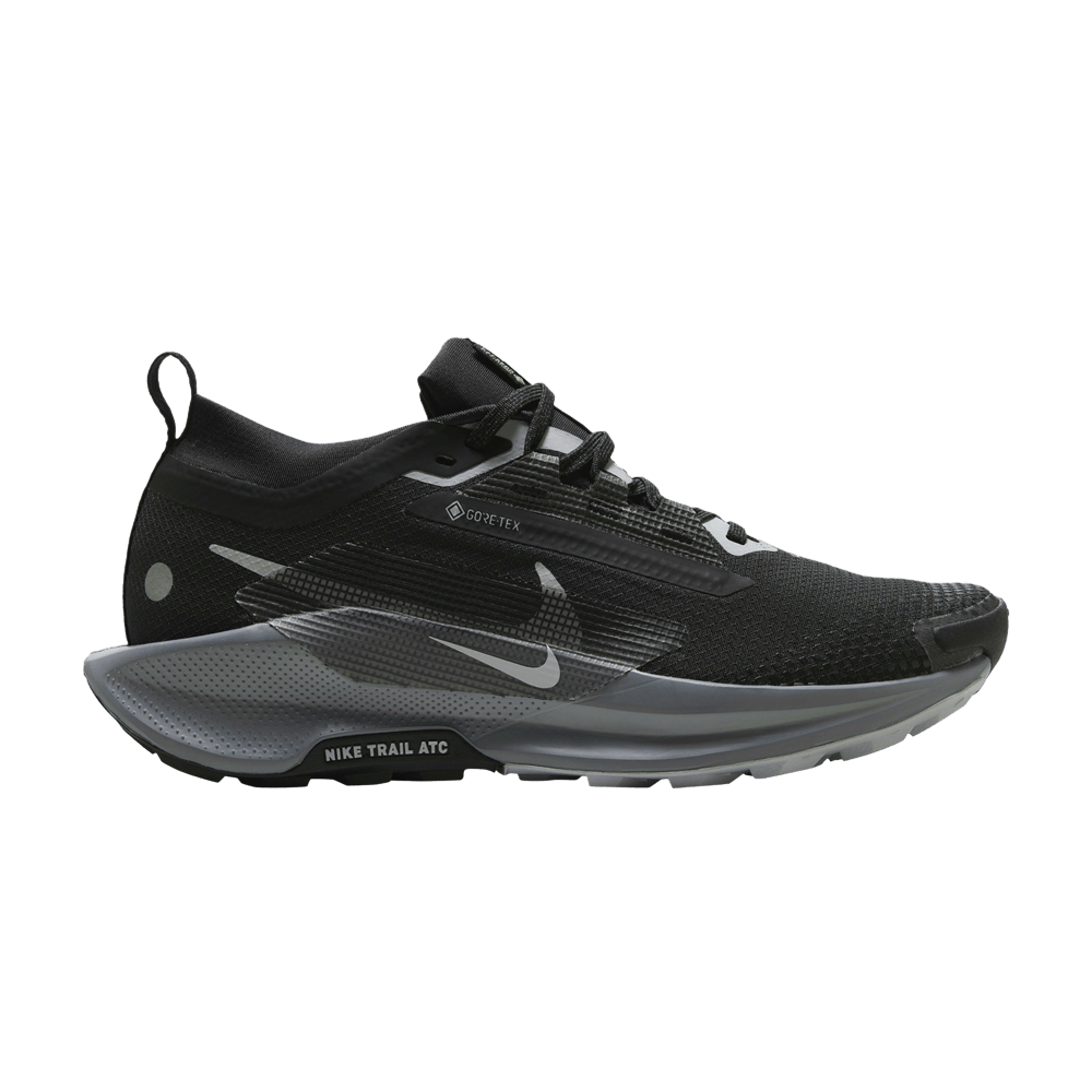 Nike Wmns Pegasus Trail 5 5 GORE TEX Black Wolf Grey FQ0912 001