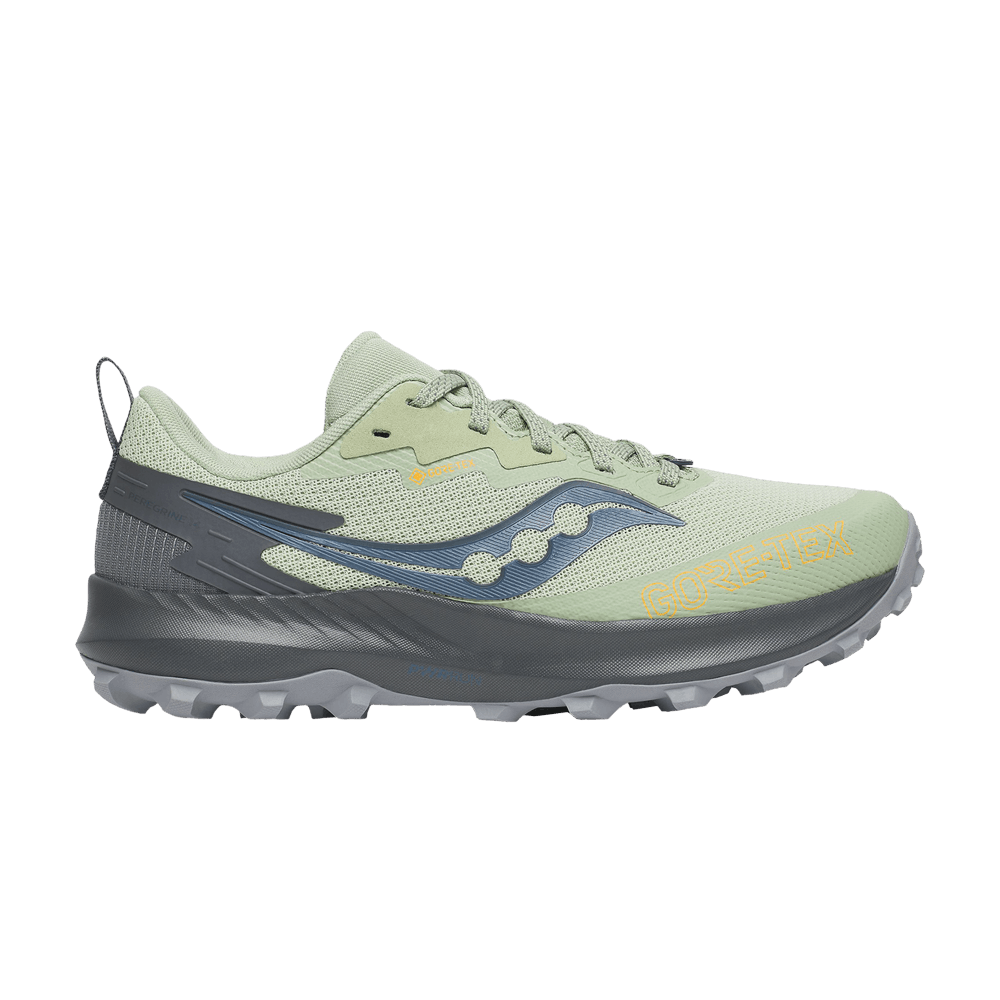 wmns-peregrine-14-gore-tex-sage-carbon-s10918-253