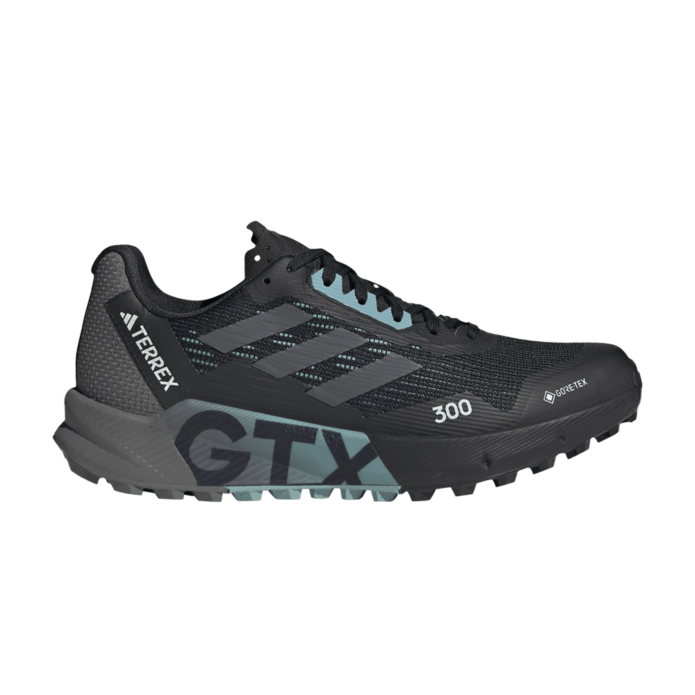 wmns-terrex-agravic-flow-2-0-gore-tex-black-light-blue-hr1145