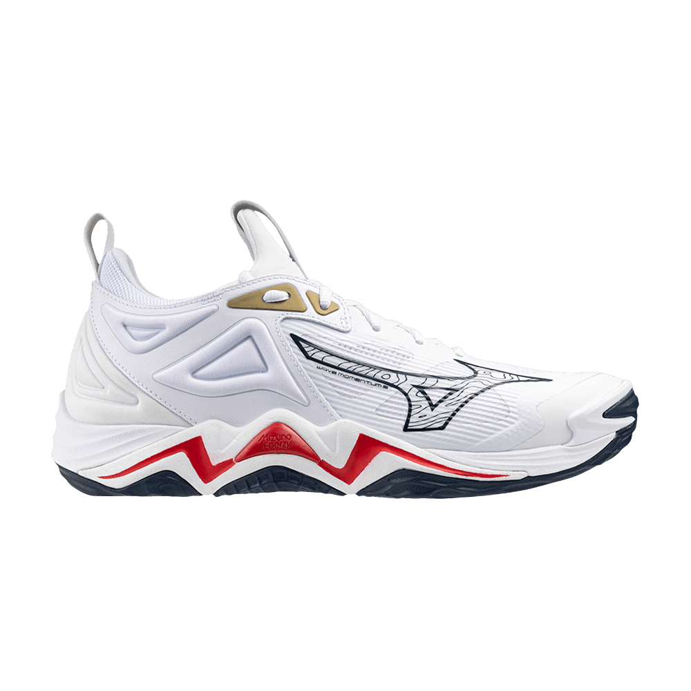 Кроссовки Mizuno Wmns Wave Momentum 3 'USAV'