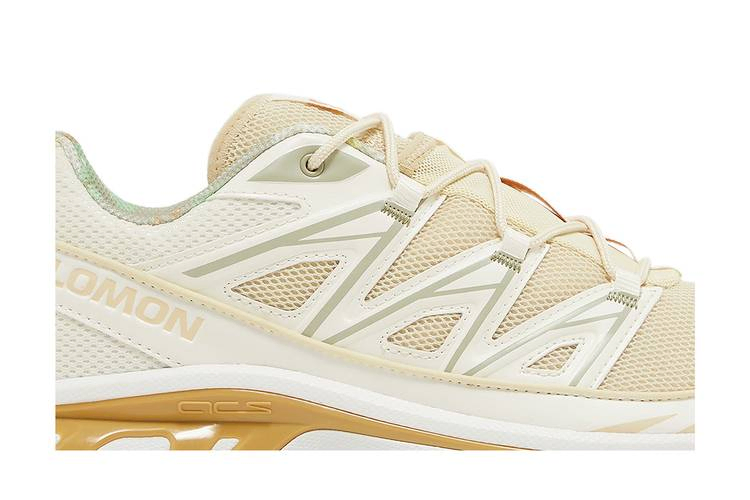 Кроссовки Salomon XT-6 Expanse 'Cottage Core'
