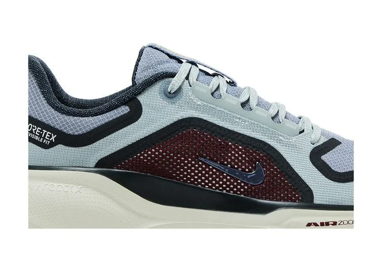 Krossovki-Nike-Air-Zoom-Pegasus-41-GORE-TEX-Light-Pumice-Burgundy-Crush-1