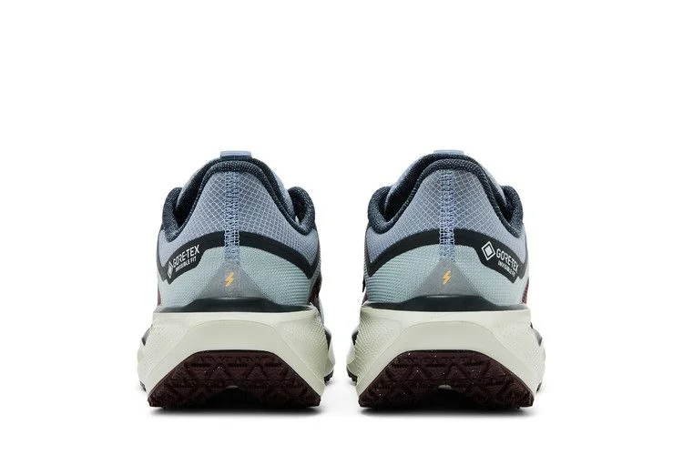 Krossovki-Nike-Air-Zoom-Pegasus-41-GORE-TEX-Light-Pumice-Burgundy-Crush-5