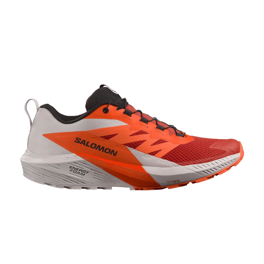 Кроссовки Salomon Sense Ride 5 'Lunar Rock Fiery Red'
