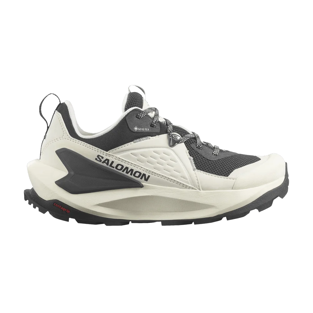 Кроссовки Salomon Wmns Elixir GORE-TEX 'Vanilla Ice Metal'
