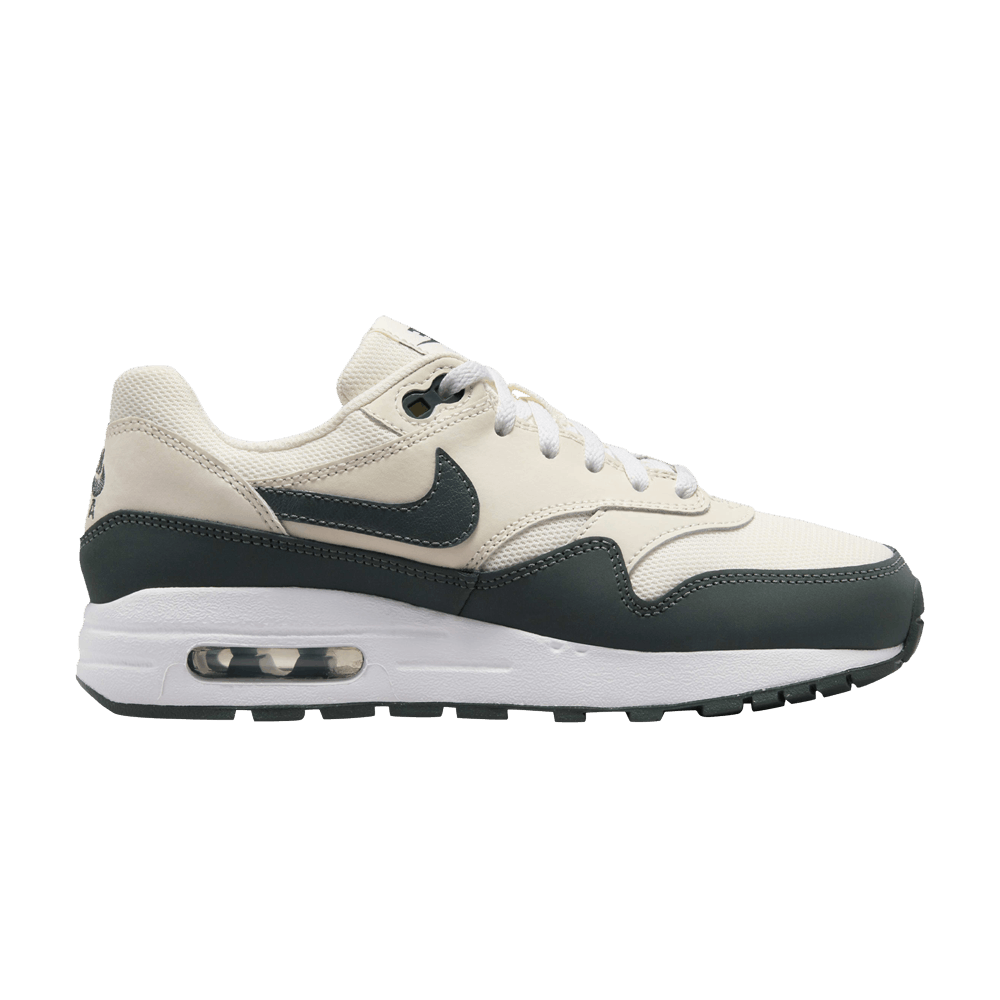 air-max-1-gs-pale-ivory-bicoastal-dz3307-113