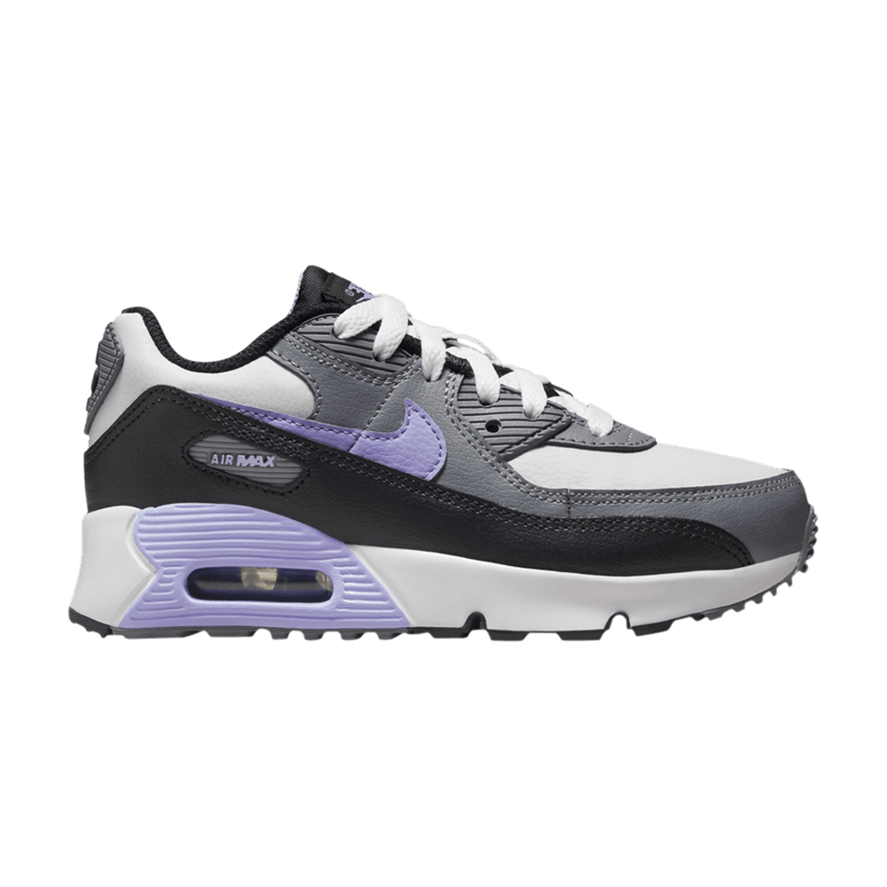 air-max-90-leather-ps-light-thistle-dv3608-001