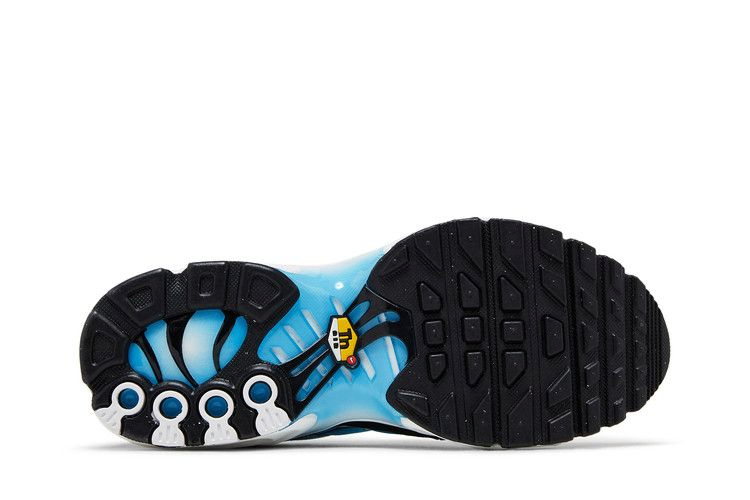 Кроссовки Nike Air Max Plus GS 'Ice'