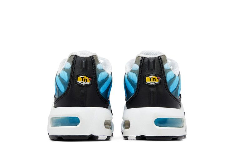 Кроссовки Nike Air Max Plus GS 'Ice'