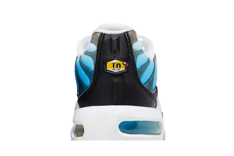 Кроссовки Nike Air Max Plus GS 'Ice'