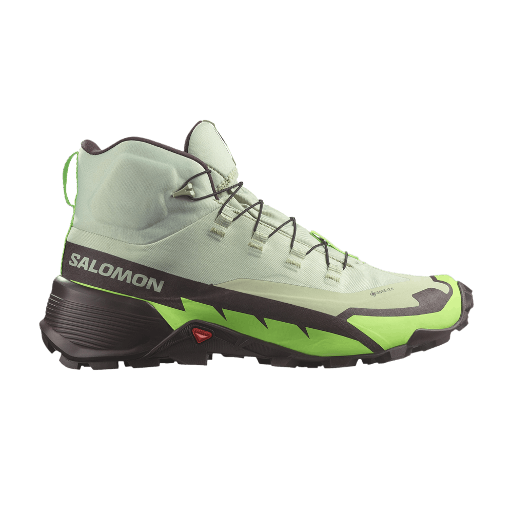 cross-hike-2-mid-gore-tex-desert-sage-green-gecko-l47277700