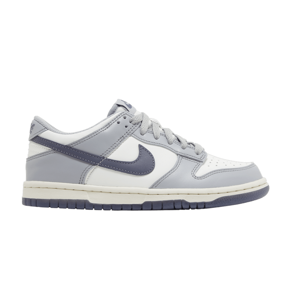 dunk-low-gs-platinum-tint-light-carbon-fb9109-101