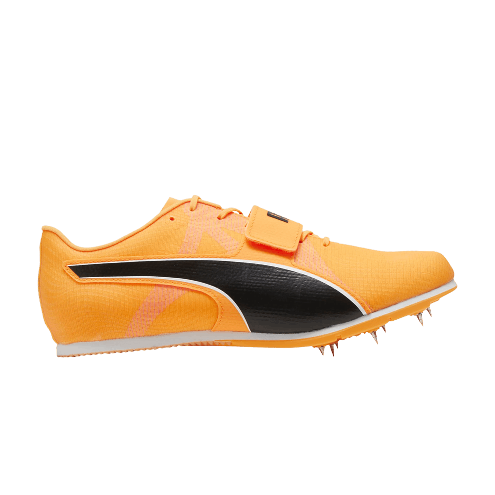 Puma evoSpeed