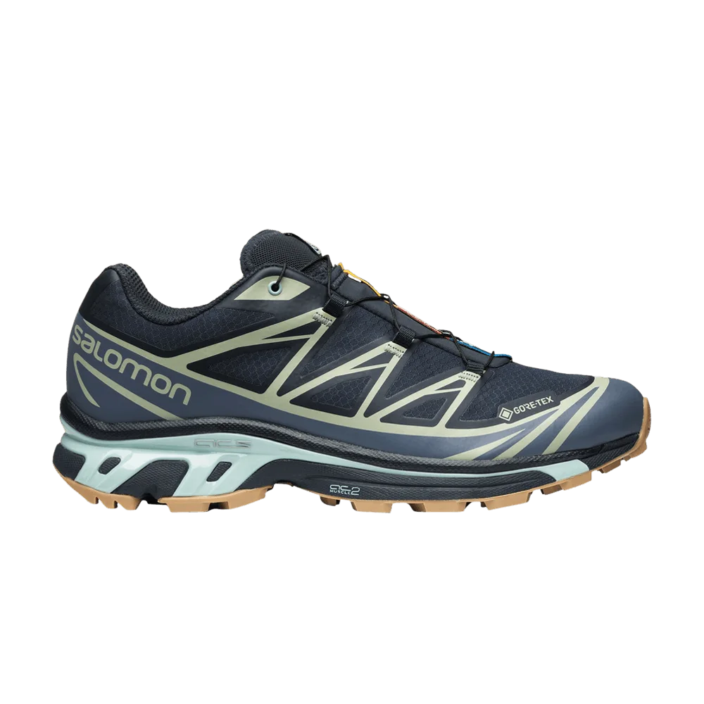 Кроссовки Salomon XT-6 GORE-TEX 'Carbon Desert Sage'