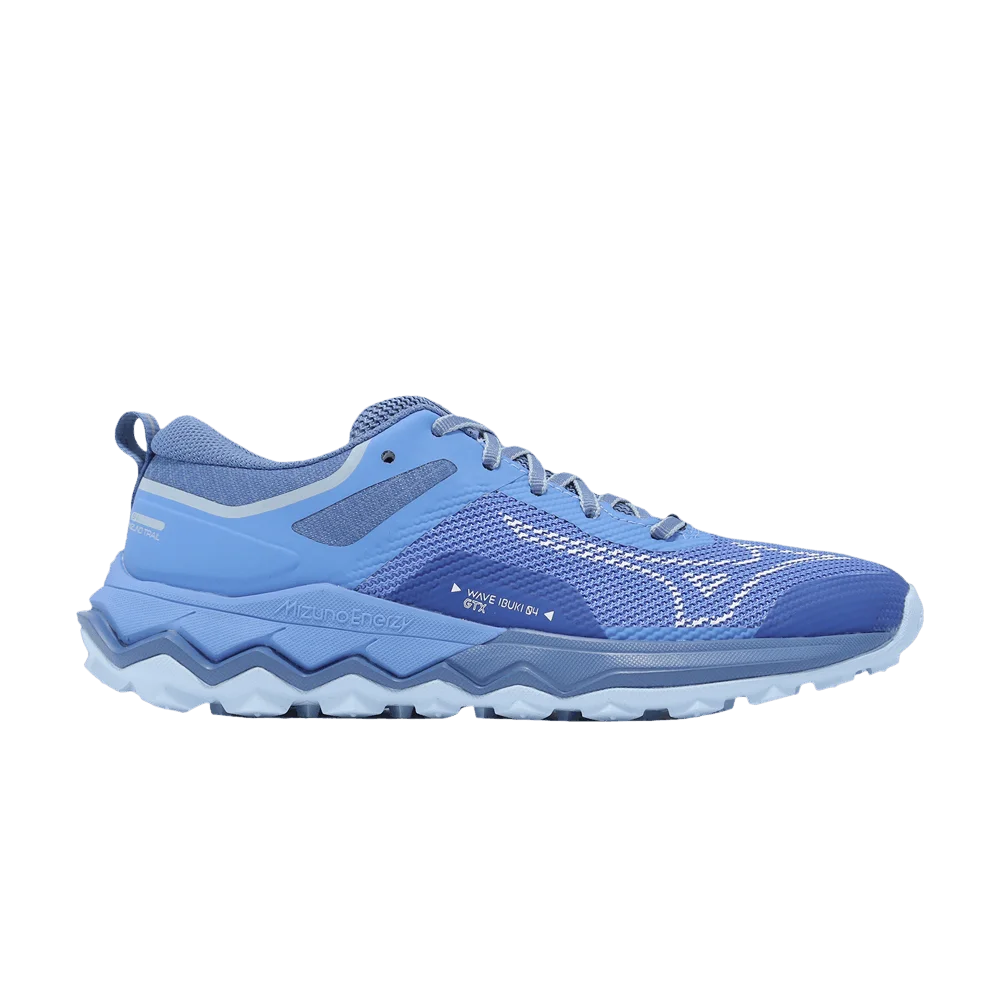 Кроссовки Mizuno Wmns Wave Ibuki 4 GORE-TEX 'Marina'