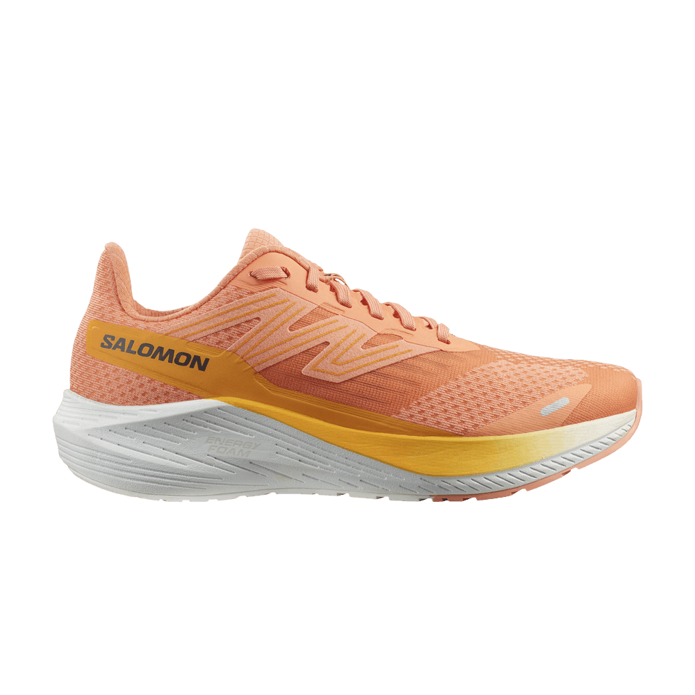 Кроссовки Salomon Wmns Aero Blaze 'Cantaloupe Zinna'