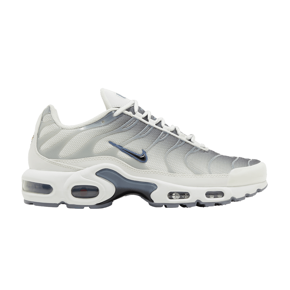 wmns-air-max-plus-smoke-grey-ashen-slate-fq2892-100