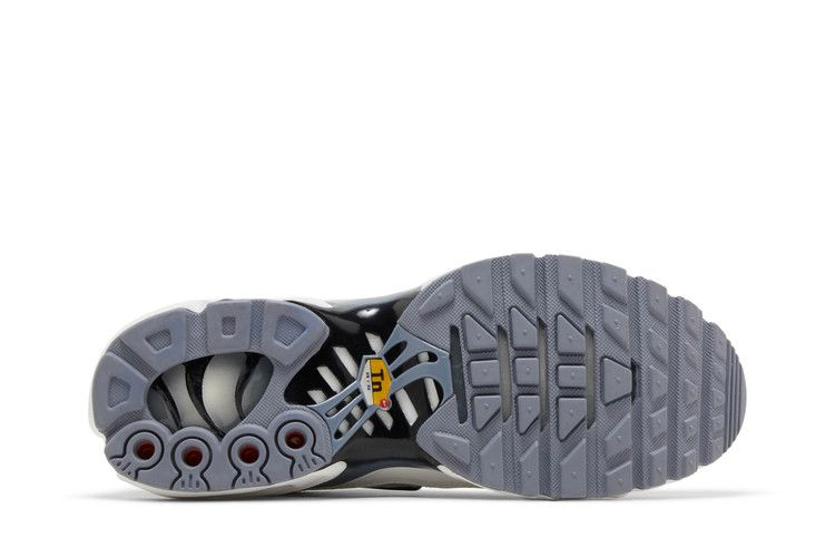 Кроссовки Nike Wmns Air Max Plus 'Smoke Grey Ashen Slate'