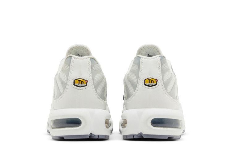 Кроссовки Nike Wmns Air Max Plus 'Smoke Grey Ashen Slate'