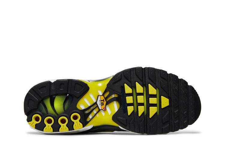 Кроссовки Nike Wmns Air Max Plus 'Violet Dust High Voltage'