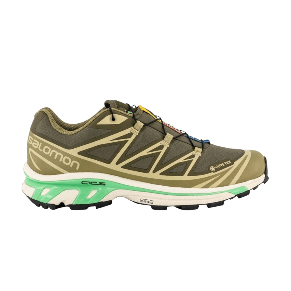 xt-6-gore-tex-olive-night-dried-herb-l47292300