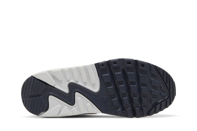 Кроссовки Nike Air Max 90 Leather GS 'Violet Frost'