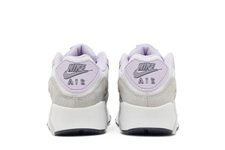 Кроссовки Nike Air Max 90 Leather GS 'Violet Frost'