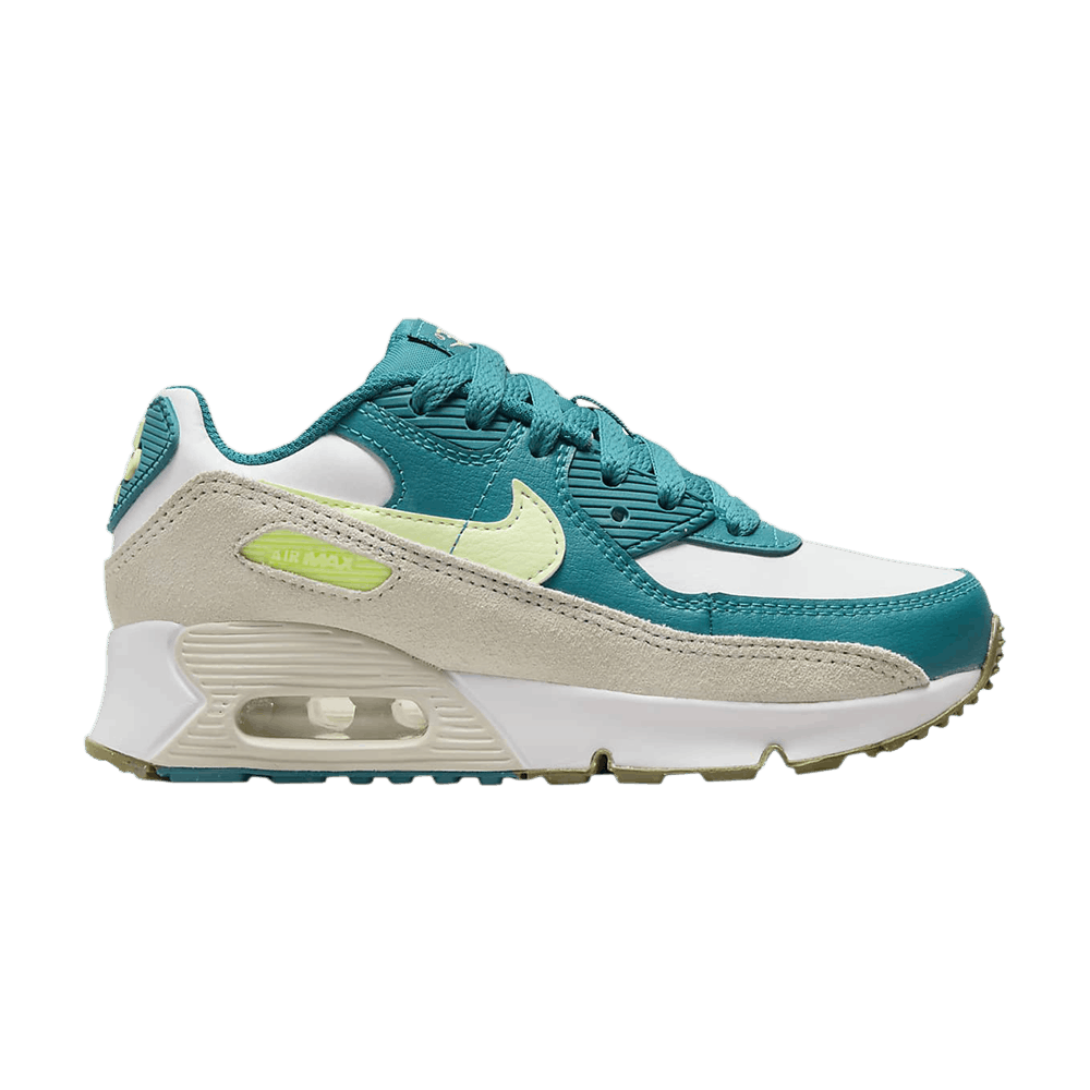 air-max-90-leather-ps-white-bright-spruce-cd6867-124