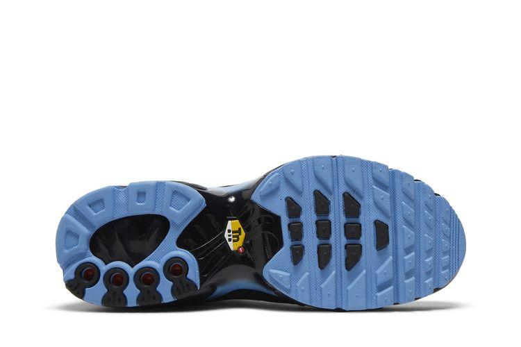 Кроссовки Nike Air Max Plus GS 'Black University Blue'