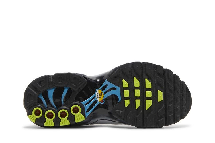 Кроссовки Nike Air Max Plus GS 'Layered Swoosh'