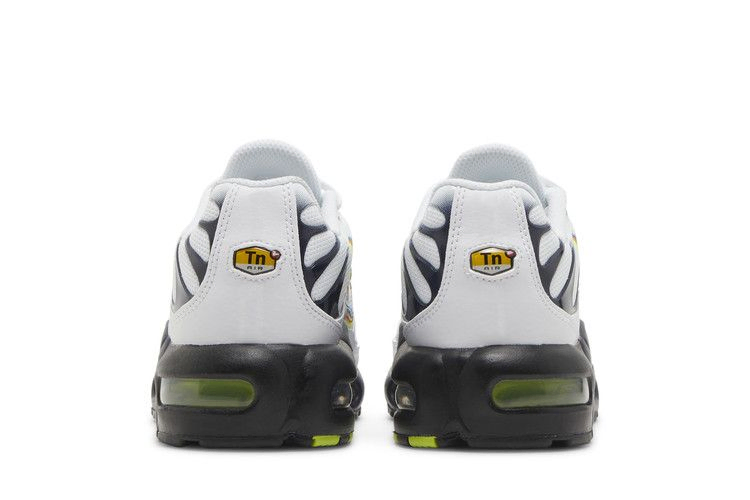 Кроссовки Nike Air Max Plus GS 'Layered Swoosh'