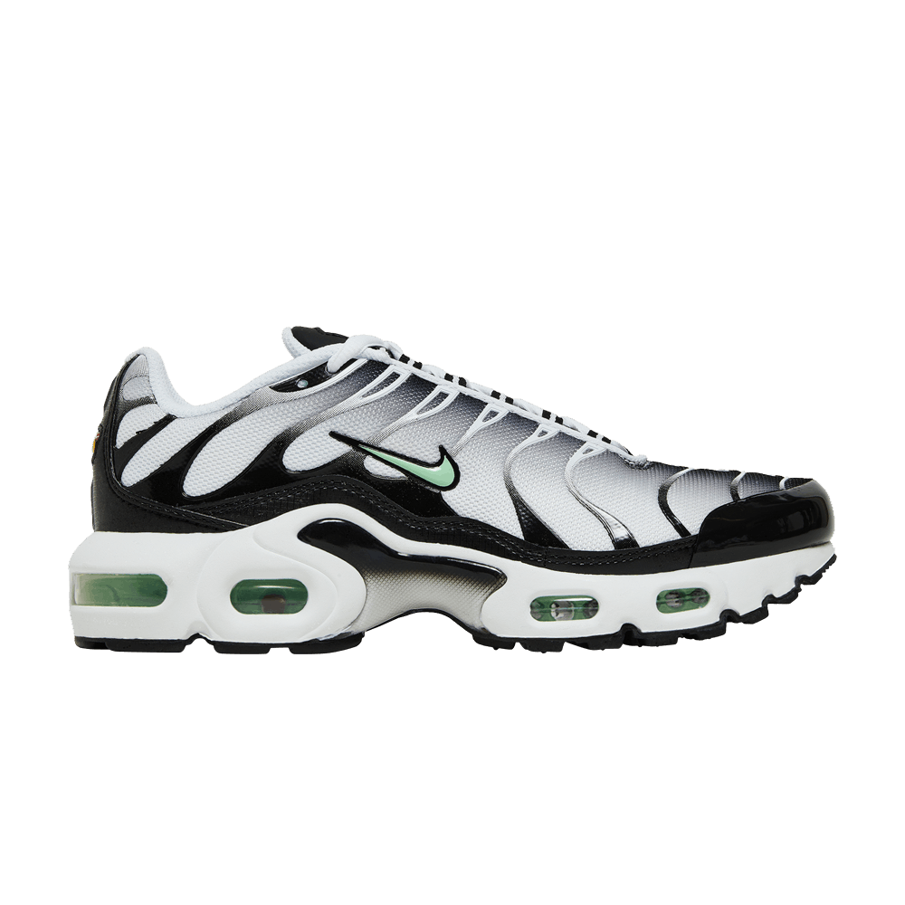 Nike Air Max Plus GS White Reflect Silver Fresh Mint CD0609 106