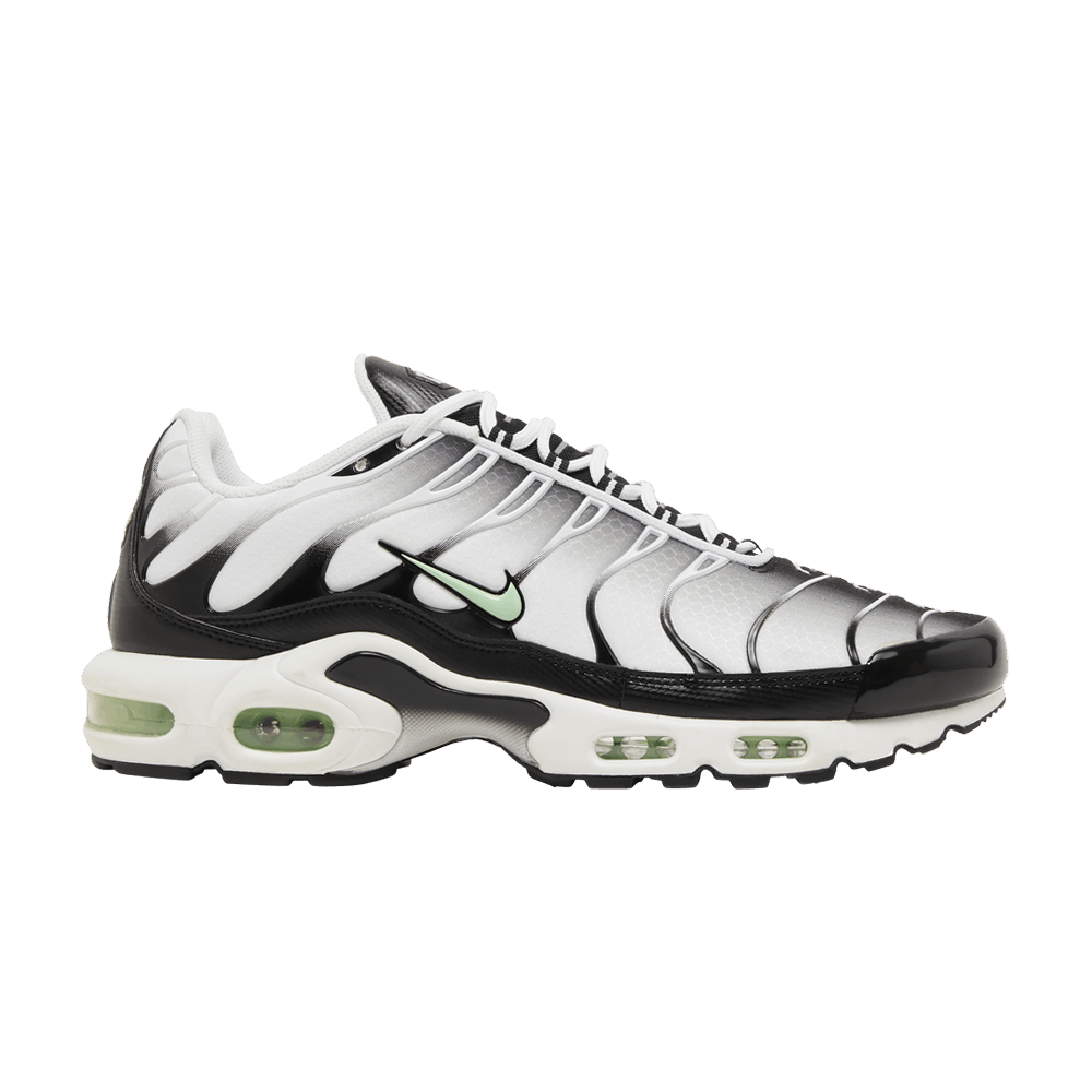 air-max-plus-seafoam-dh4776-100