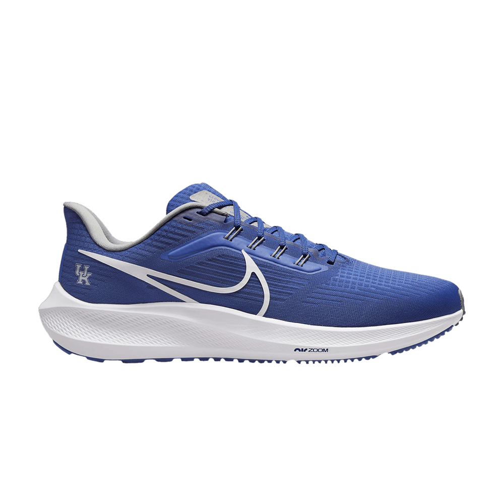 air-zoom-pegasus-39-kentucky-dr1963-400