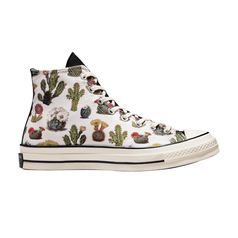 chuck-70-high-succulents-a00653c