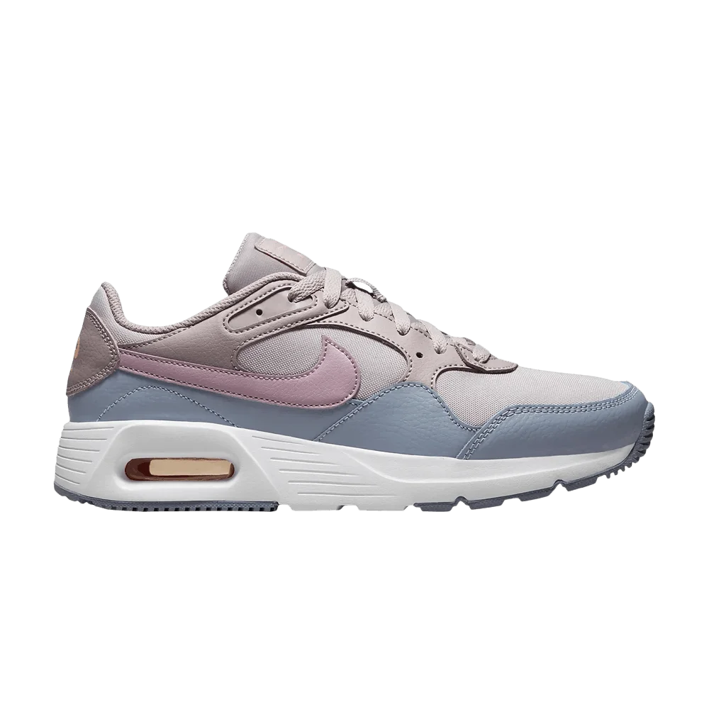 Кроссовки Nike Wmns Air Max SC 'Amethyst Ash'