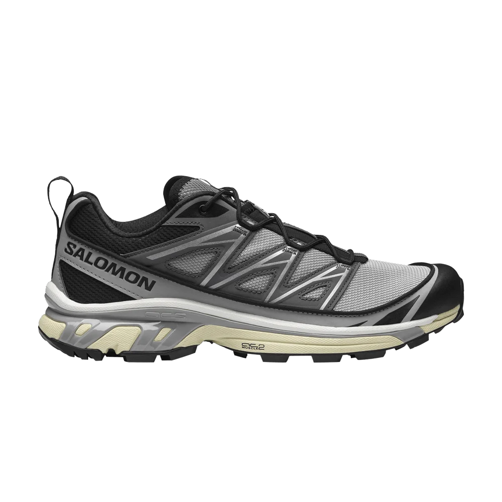 Кроссовки Salomon XT-6 Expanse 'Alloy Quiet Shade'