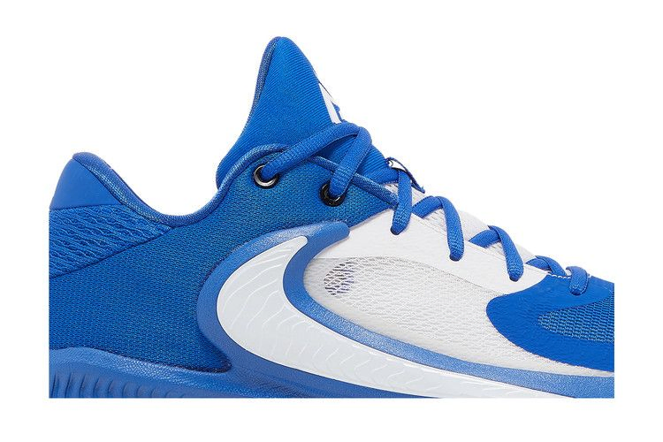 Кроссовки Nike Zoom Freak 4 TB 'Game Royal'