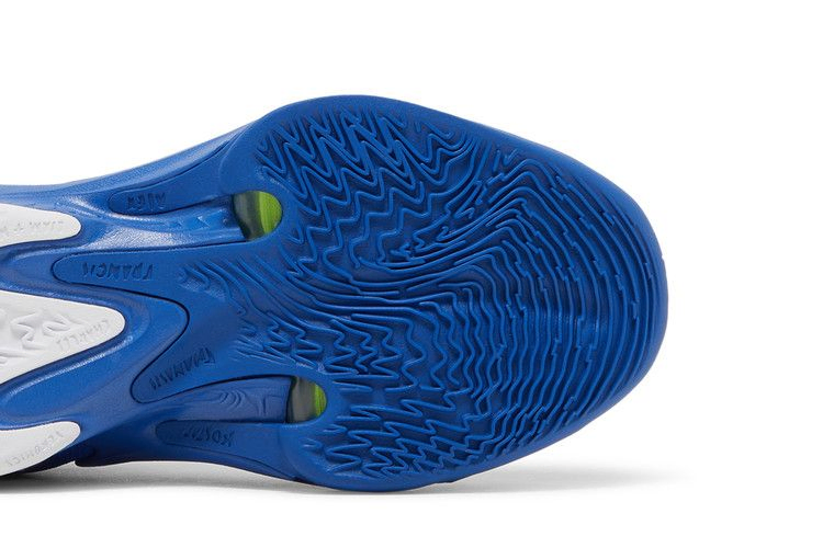 Кроссовки Nike Zoom Freak 4 TB 'Game Royal'